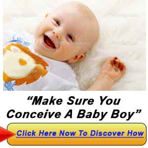 Diet Chart For Conceiving Baby Boy