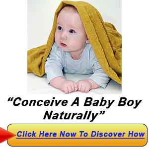How To Conceive A Baby Boy