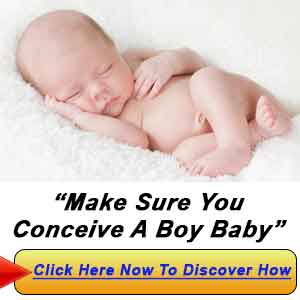 How To Conceive A Boy Diet