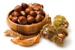 chestnuts