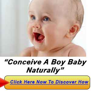 Ways To Conceive A Boy